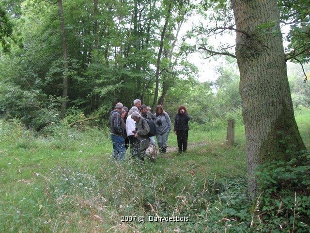 2007 08 Mare aux canes 02